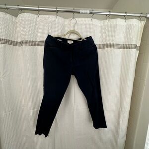 LOFT Dark Blue Skinny Pants